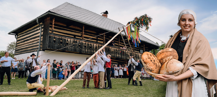Slavnosti chleba & Stavění máje