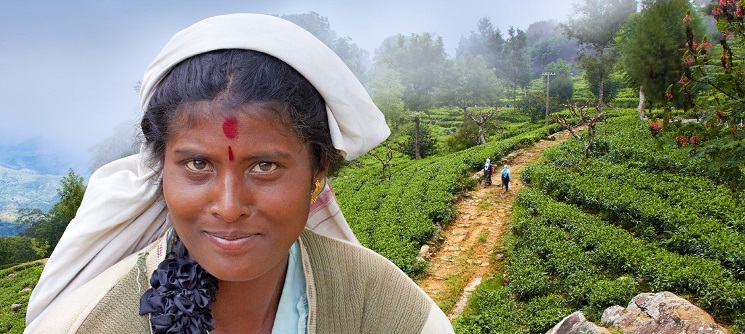 Martin Loew: Srí Lanka