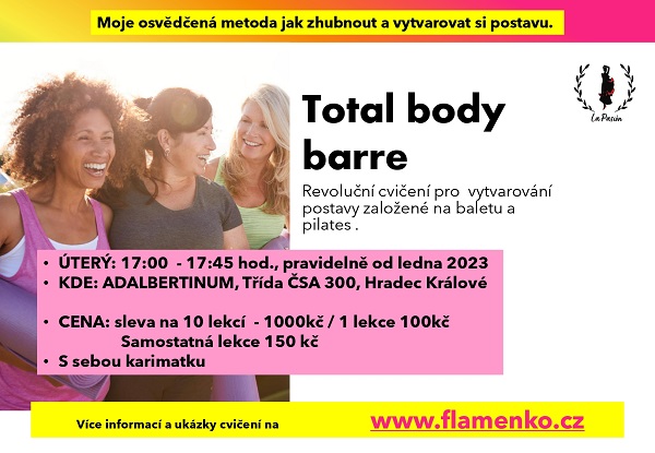 TOTAL BODY BARRE - KURZ FLAMENCO